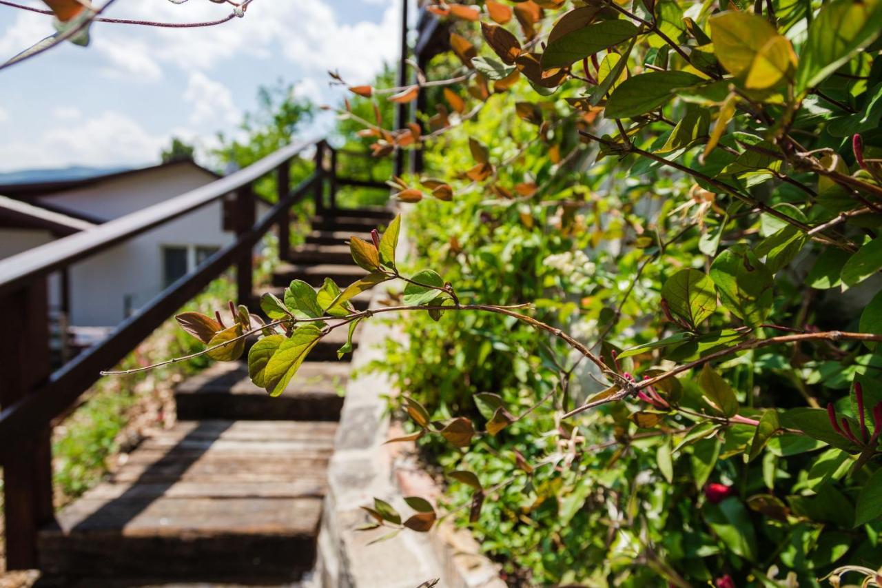 Ferienwohnung Aranyos Hill Nagymaros Exterior foto